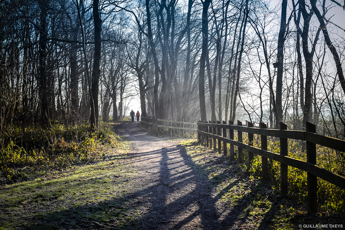 photo bois de maroeuil